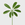 Public Goods Dwarf Umbrella Tree 6''